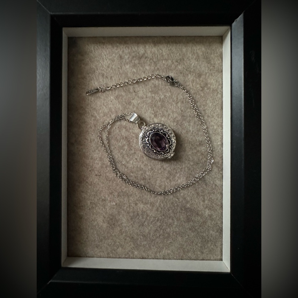 Elegant Silver and Purple Poisen/Stash Pendant Necklace